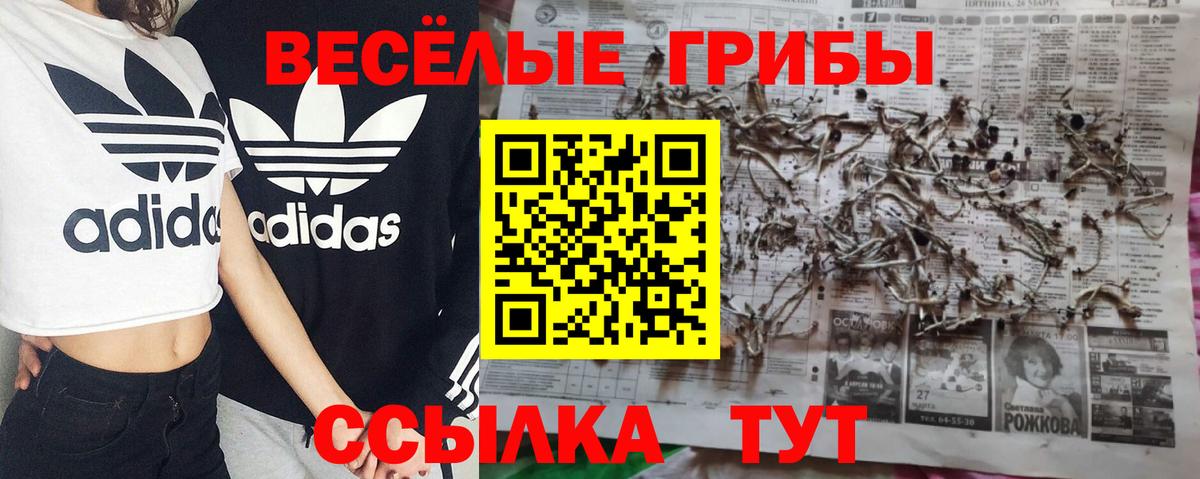 Галлюциногенные грибы прущие грибы Ликино-Дулёво